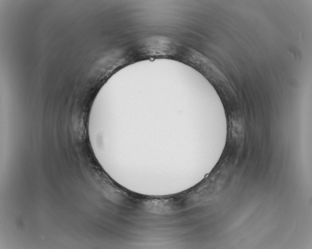 X0000111440422200908031356