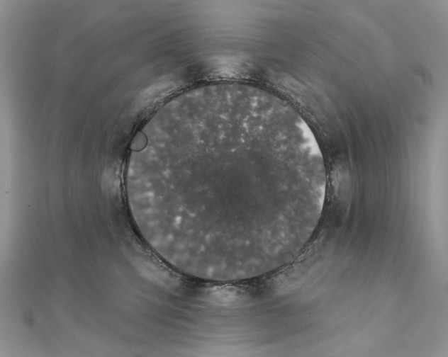 X0000111440423200908031356