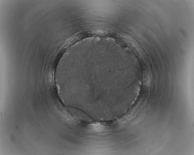 X0000111440425200908031356