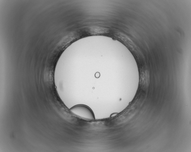 X0000111440426200908031356