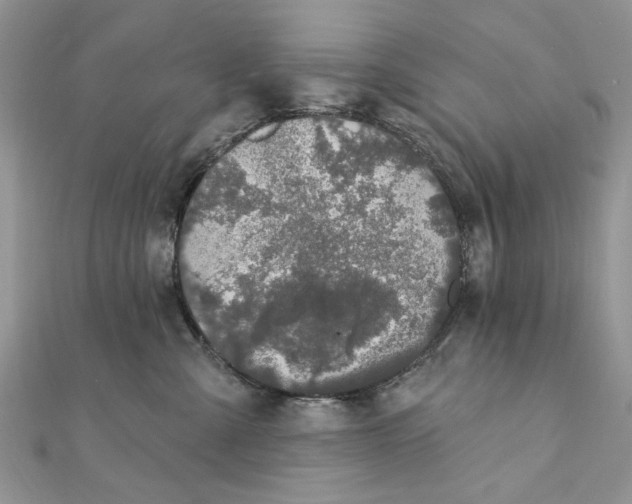 X0000111440427200908031356