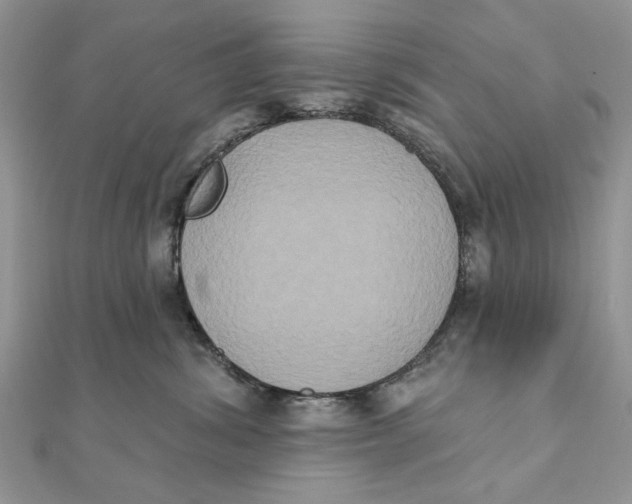 X0000111440428200908031356