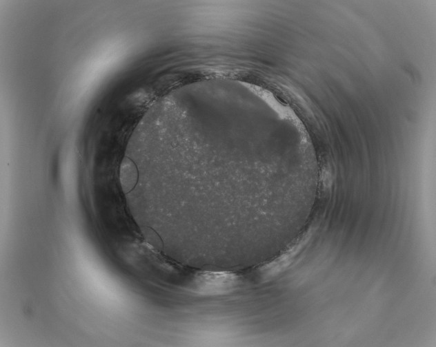 X0000111440429200908031356