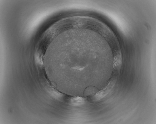 X0000111440431200908031356