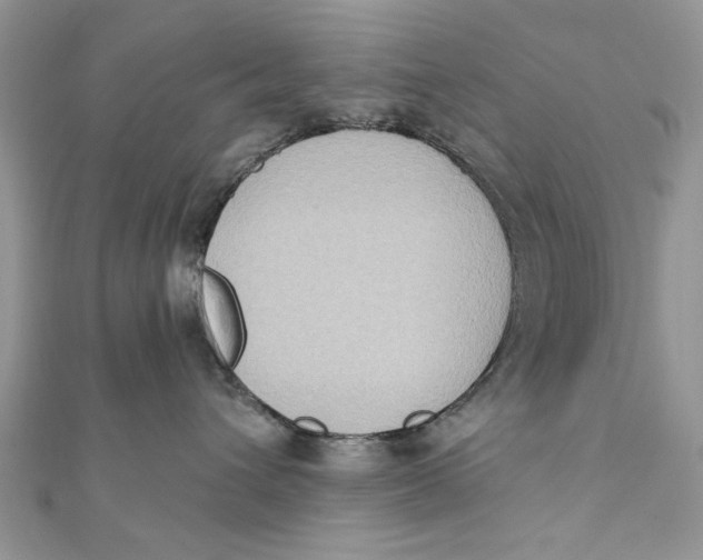 X0000111440432200908031356