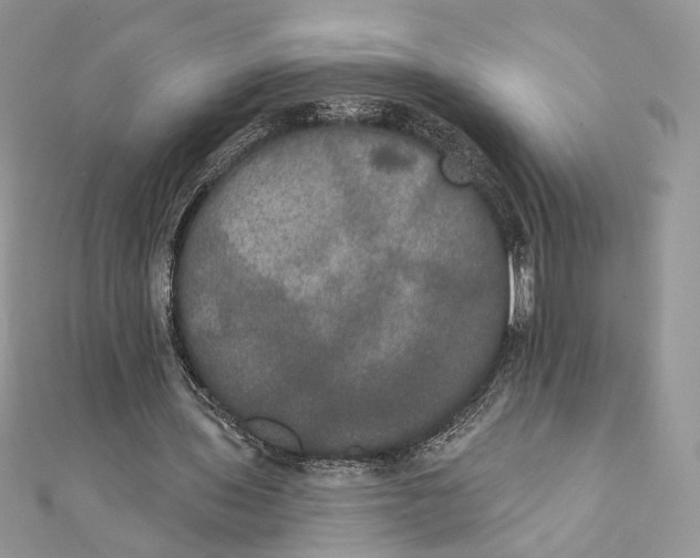 X0000111440435200908031355