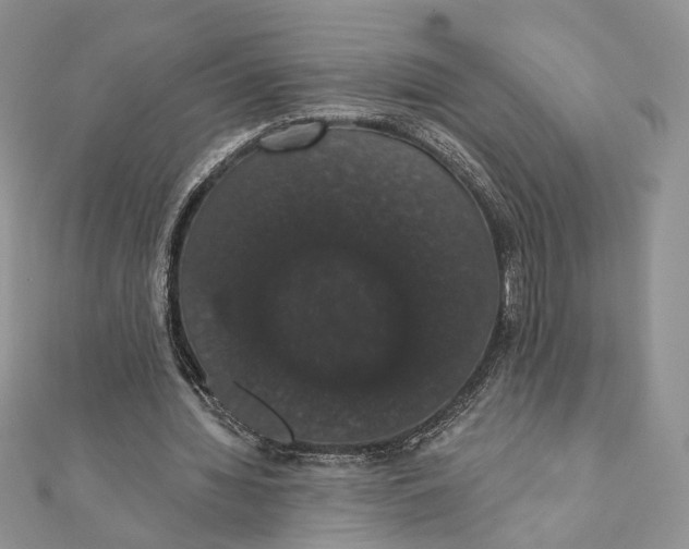 X0000111440436200908031355