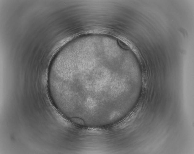 X0000111440437200908031355