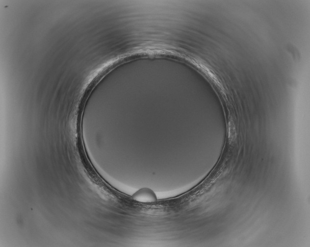 X0000111440438200908031355