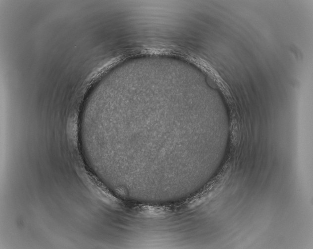 X0000111440442200908031356