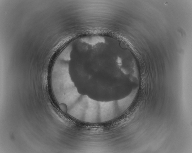 X0000111440443200908031356