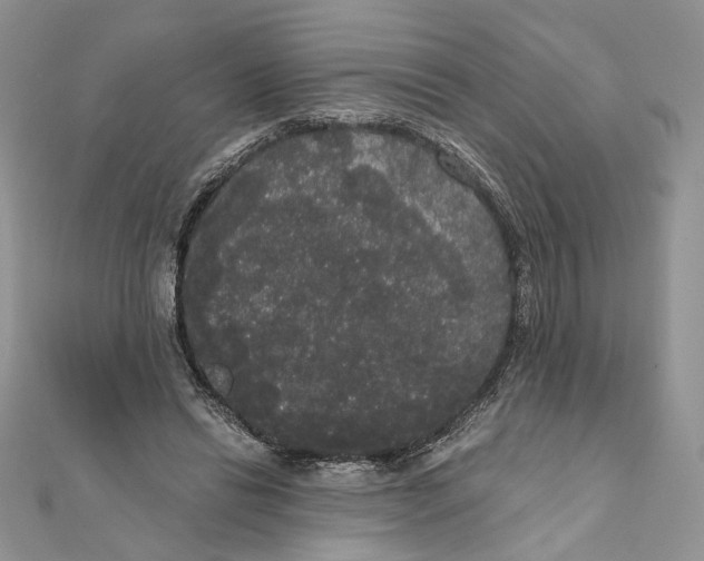 X0000111440446200908031356