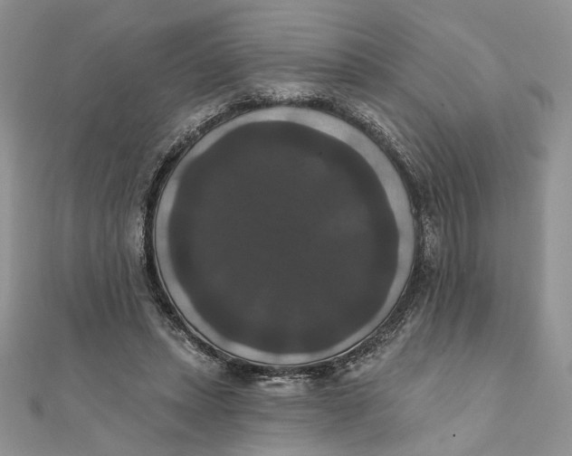 X0000111440447200908031356