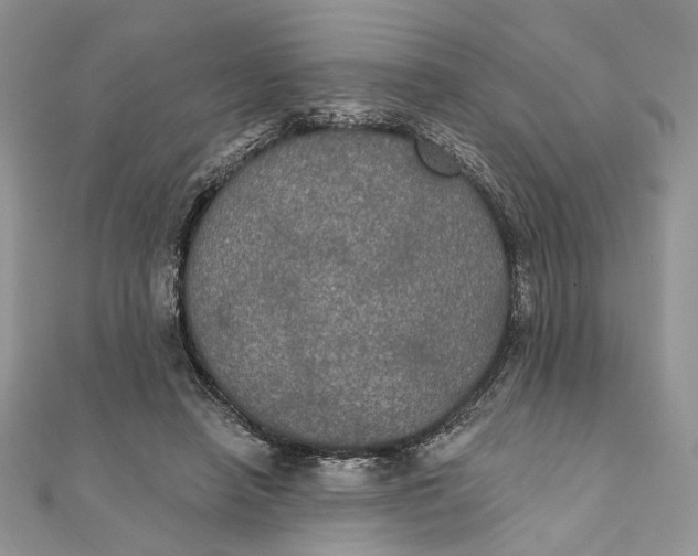 X0000111440450200908031356