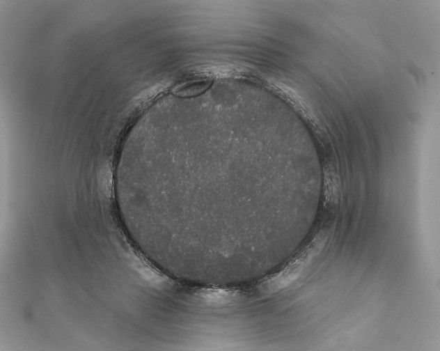 X0000111440453200908031356