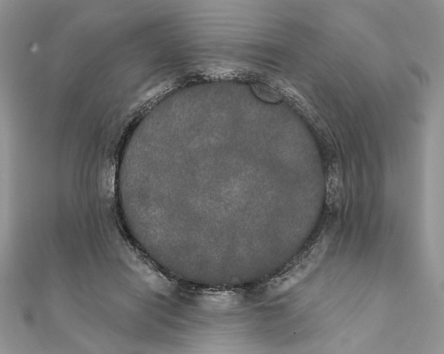 X0000111440454200908031356