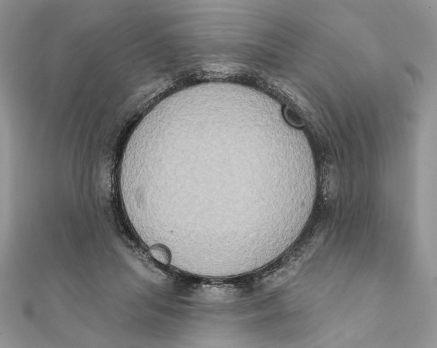 X0000111440455200908031356