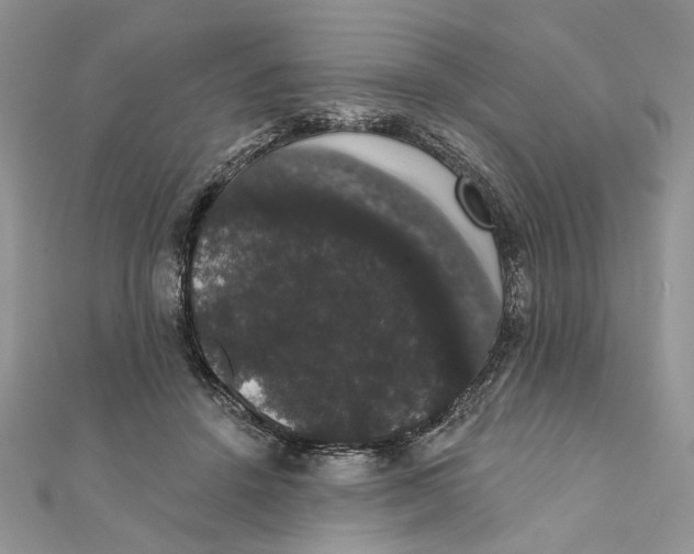 X0000111440456200908031356