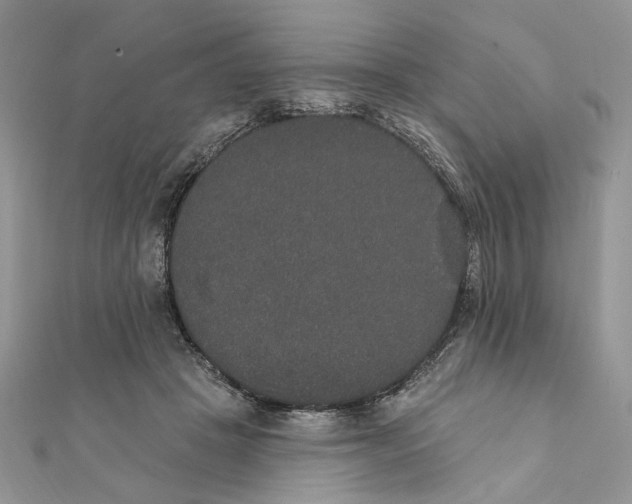 X0000111440457200908031356