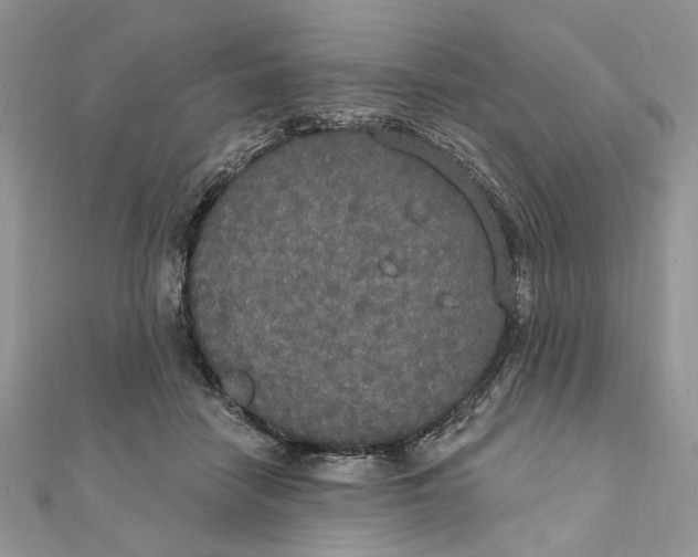 X0000111440458200908031356