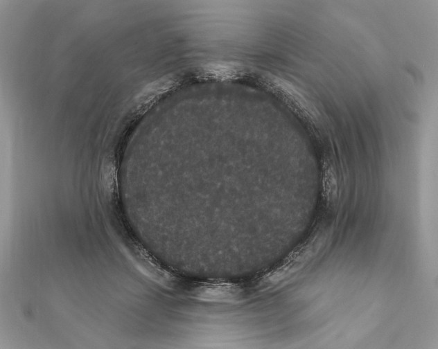 X0000111440459200908031356