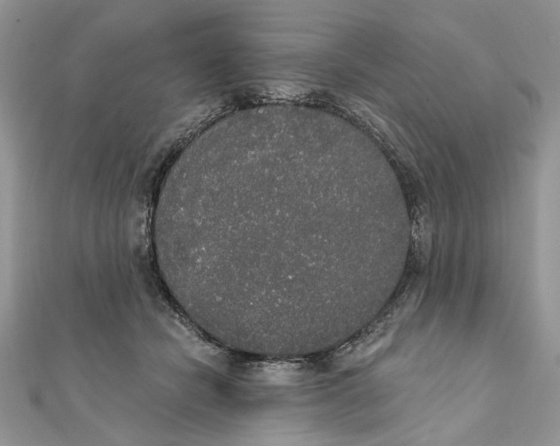 X0000111440462200908031356