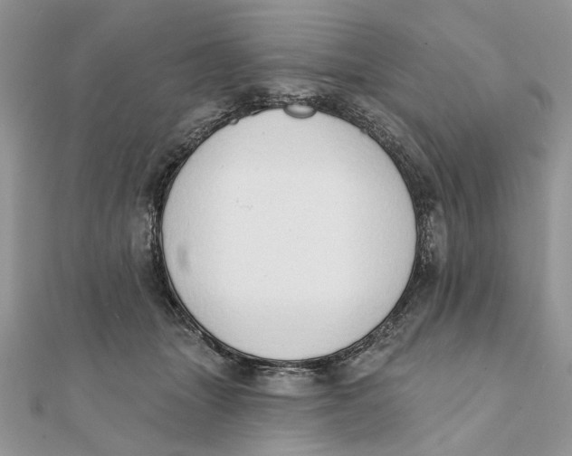 X0000111440463200908031356