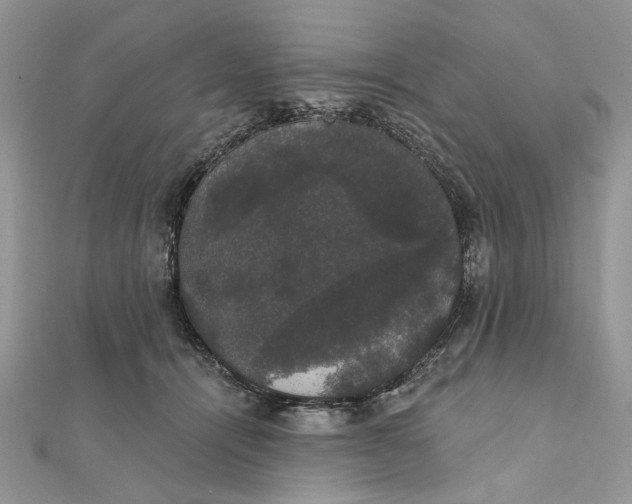 X0000111440464200908031356