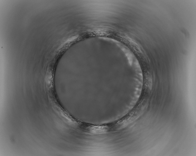 X0000111440465200908031356