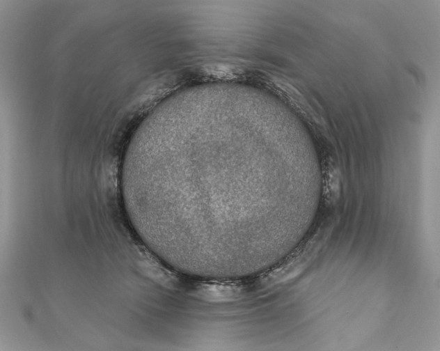 X0000111440466200908031356