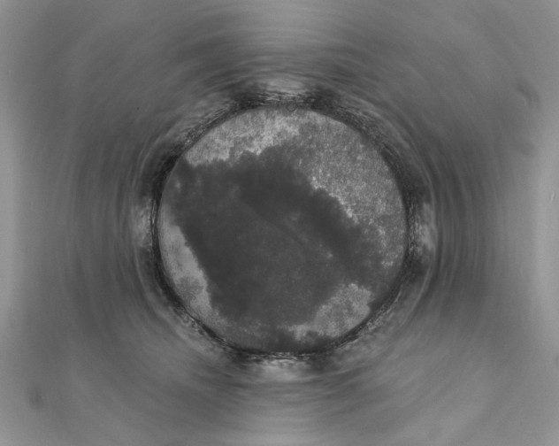 X0000111440468200908031356