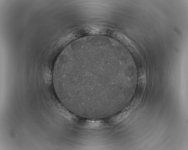 X0000111440469200908031356