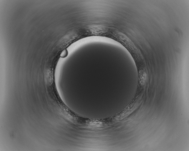 X0000111440471200908031356