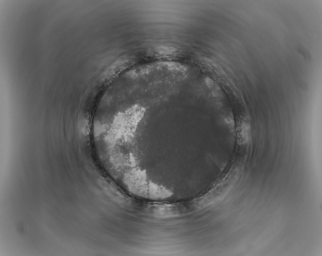 X0000111440472200908031356