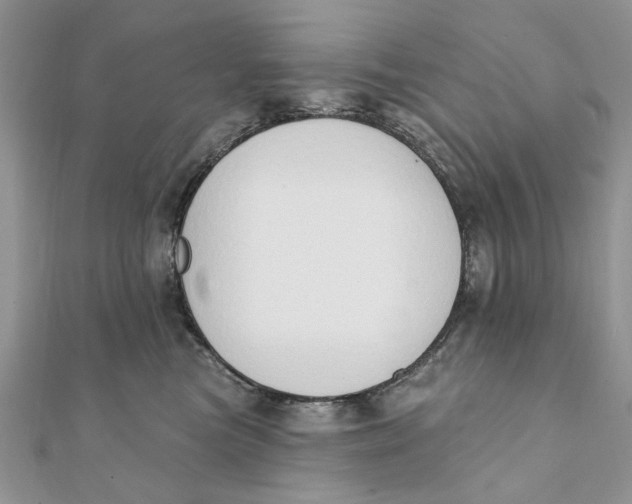 X0000111440473200908031356