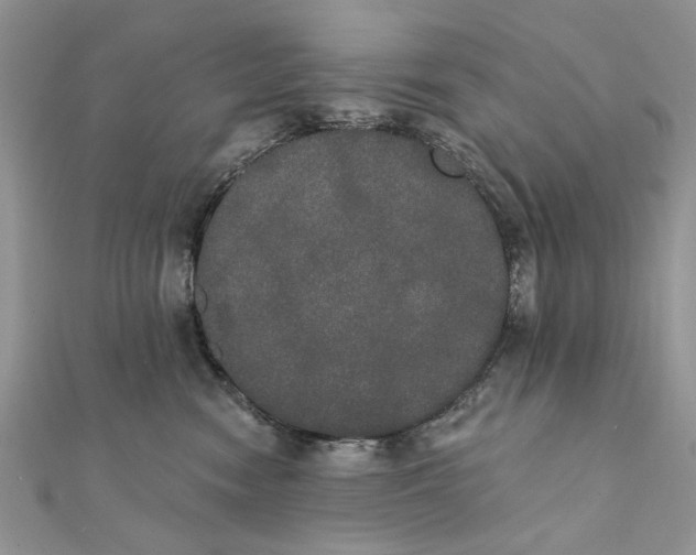 X0000111440474200908031356