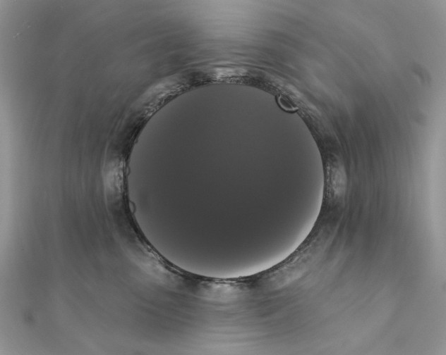 X0000111440475200908031356