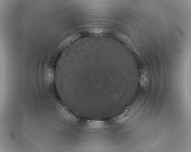 X0000111440476200908031356