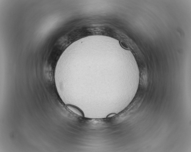 X0000111440477200908031356