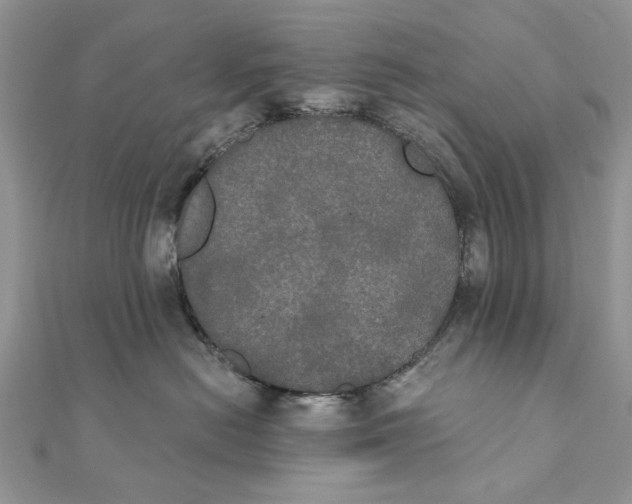 X0000111440478200908031356