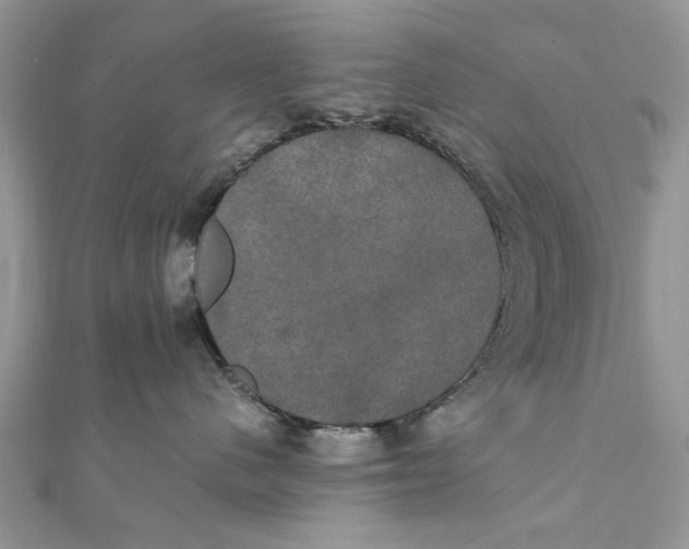 X0000111440480200908031356