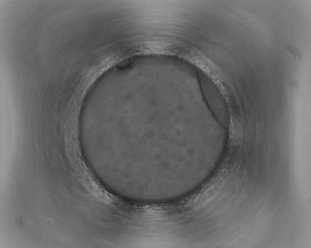 X0000111440481200908031355