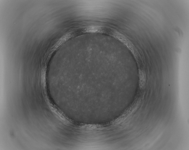 X0000111440482200908031355