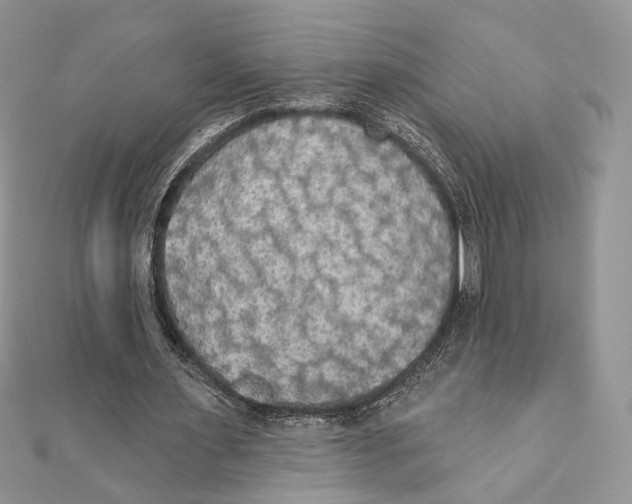 X0000111440483200908031355