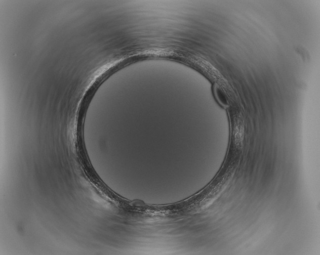 X0000111440484200908031355