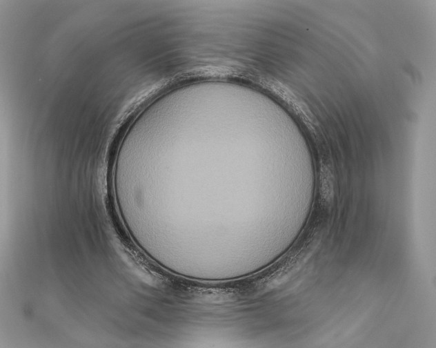 X0000111440486200908031355