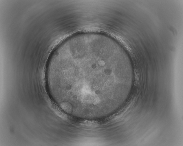 X0000111440487200908031355