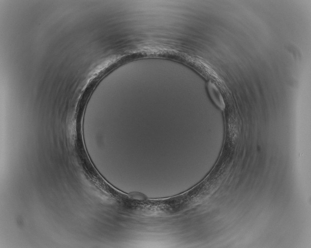 X0000111440488200908031355