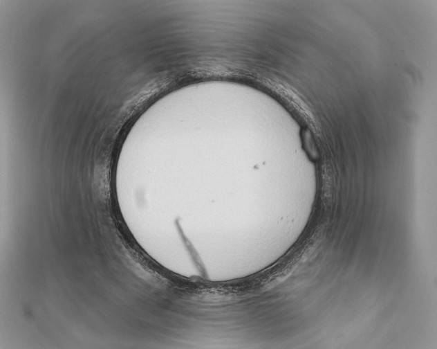 X0000111440489200908031355