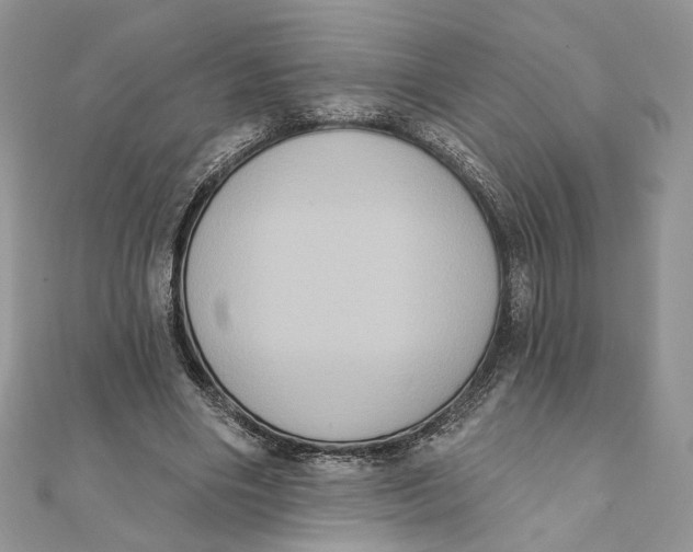 X0000111440490200908031355